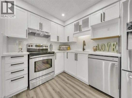 239 RED CLOVER Court - Photo 1