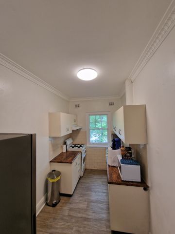 Paddington - Photo 3