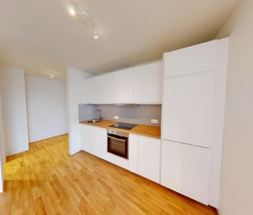 | GARTENWOHNUNG NAHE DONAUINSEL | RUHIGE INNENHOFLAGE | 24M² GARTEN... - Foto 4