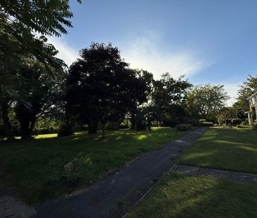 Lichen Green, CV4, Property for rent - Photo 4