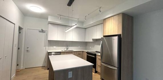 Brand New 1 Bed + Flex, 1 Bath Condo - Milagro - Photo 2