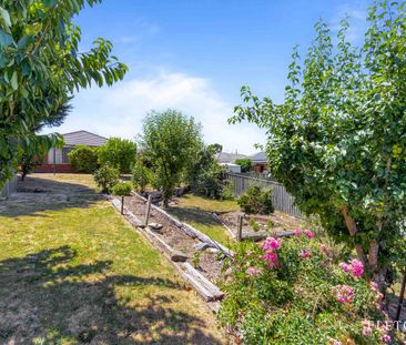 Great 4 Bedroom Home - Photo 5