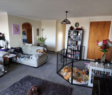 Coorparoo - Photo 1
