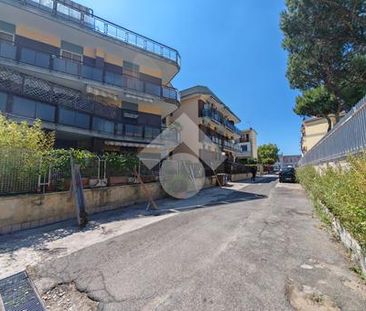 5 locali in affitto - Photo 3