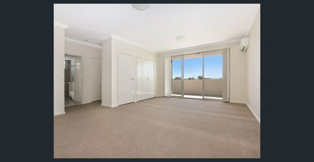 Contemporary Light Filled 1-Bedroom Apartment - Photo 1