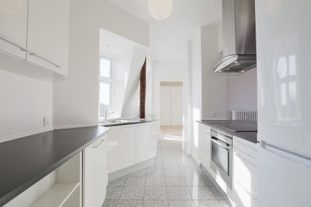 Stor herskabslejlighed i centrum - Photo 3