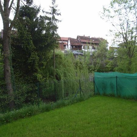 Location Appartement 47.01 M² BUSCHWILLER 620 € - Photo 4