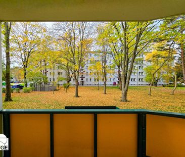 Schöne helle 2-Raum-Wohnung mit Balkon im Erdgeschoss - Photo 1