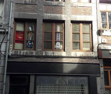 Duplex te huur - Photo 5