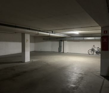 Mieszkanie na wynajem Wrocław-Psie Pole Wrocław - Photo 1