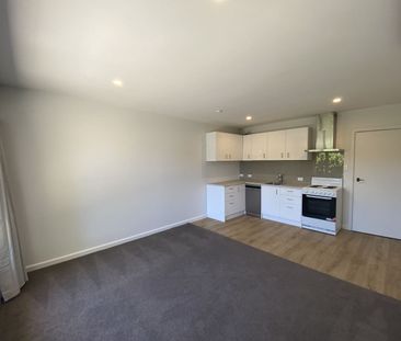 Refurbished two bedroom unit on Armagh - Photo 5