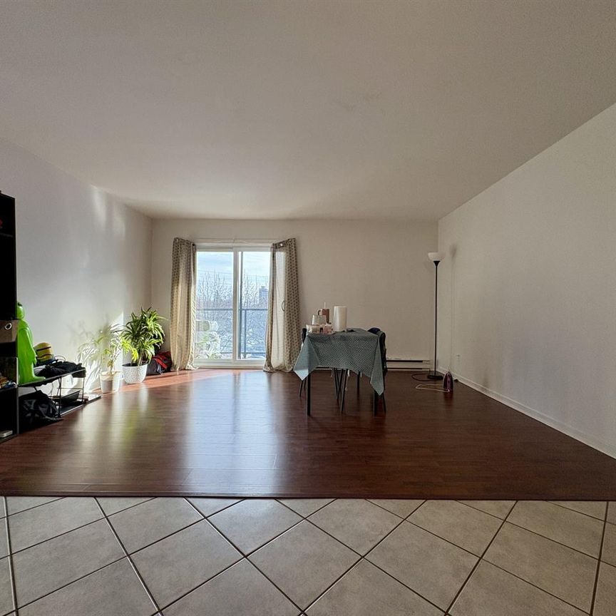 OSEN Appartement 4 ½ à Louer Sainte-Foy / Sillery Juillet 2026 - Photo 1