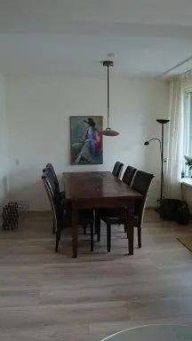 Appartement meublé de 2 chambres à coucher De Lairesselaan, Rotterdam – À louer - Photo 3