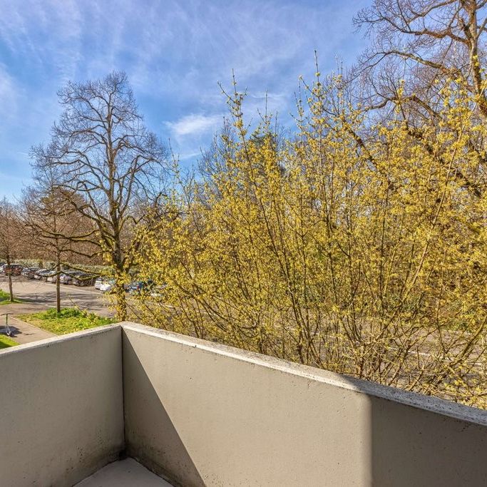 Ruhiges Wohnquartier in Riehen - Photo 1
