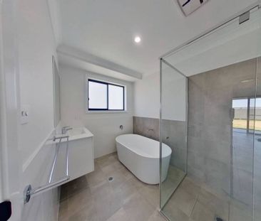 Dreaming of Champagne Drive - Photo 2