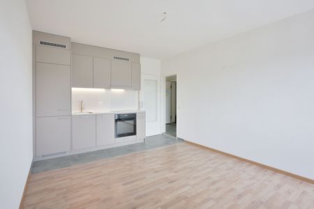 Für Sie frisch saniert - Wohnwunder in Basel - Foto 4