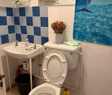 Room in a Shared House, Pear Court, SE15 - Photo 6