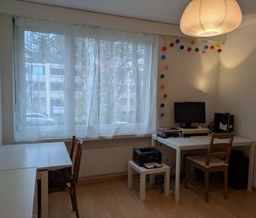 Rent a 3 ½ rooms apartment in Uster - Photo 3
