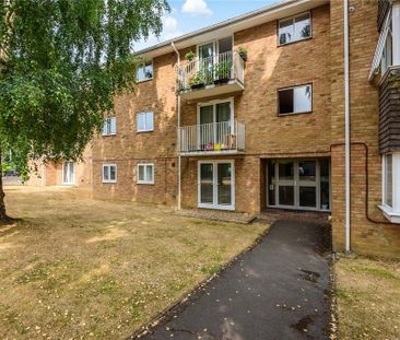 3 bedroom apartment to rent - Photo 5