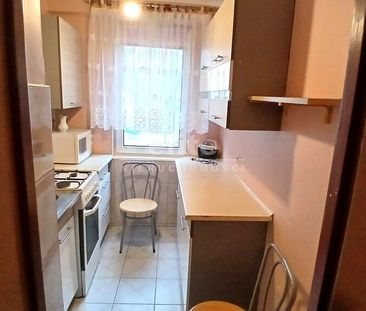 Gryfino - Фото 5