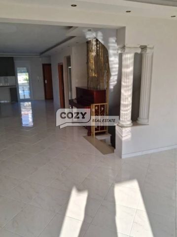 Μεζονέτα για ενοικίαση Ασπρόβρυση (Ωραιόκαστρο) - Photo 2