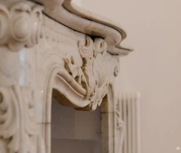 REPRÄSENTATIVE KLASSISCHE BEL ETAGE WOHNUNG IM BOTSCHAFTSVIERTEL - Foto 2