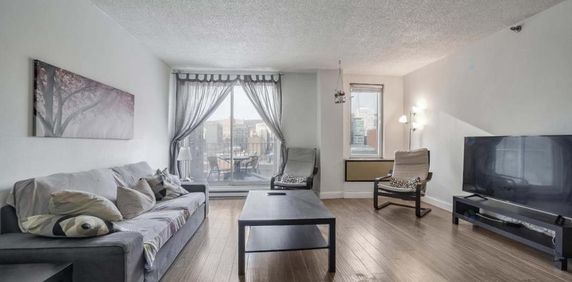 Top floor (12th) Fully-furnished penthouse $1,800/month Montreal - Condo / apartment for rent Ville-Marie - Photo 2