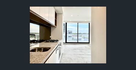 Sun Drenched - Lygon Place - Photo 2