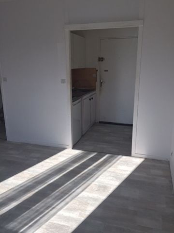 Location Appartement 1 pièce 25m² - Photo 3