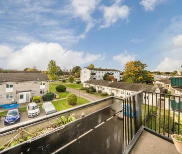 Beechwood Avenue - Photo 2