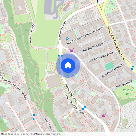 Avenue du Grey 82, Lausanne Blécherette