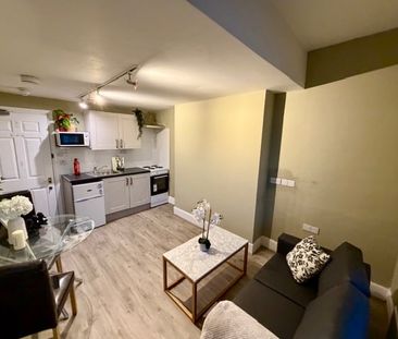 Studio Flat, Lena Gardens, W6 - Photo 4