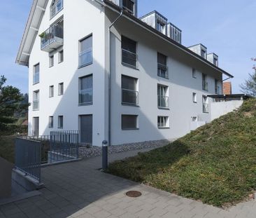 2.5 Zimmer, 64 m², 2. Stock - Photo 5