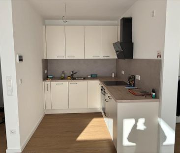 52qm 2 Zimmer EG Wohnung Warburg Stadt Neubau - Foto 1