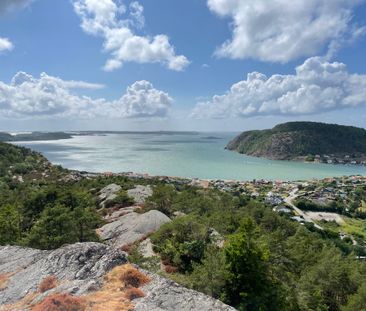 Rörtången, Kode - Photo 2