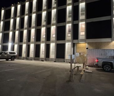 171 Donald – The Byfuglien, Winnipeg, MB - Photo 2