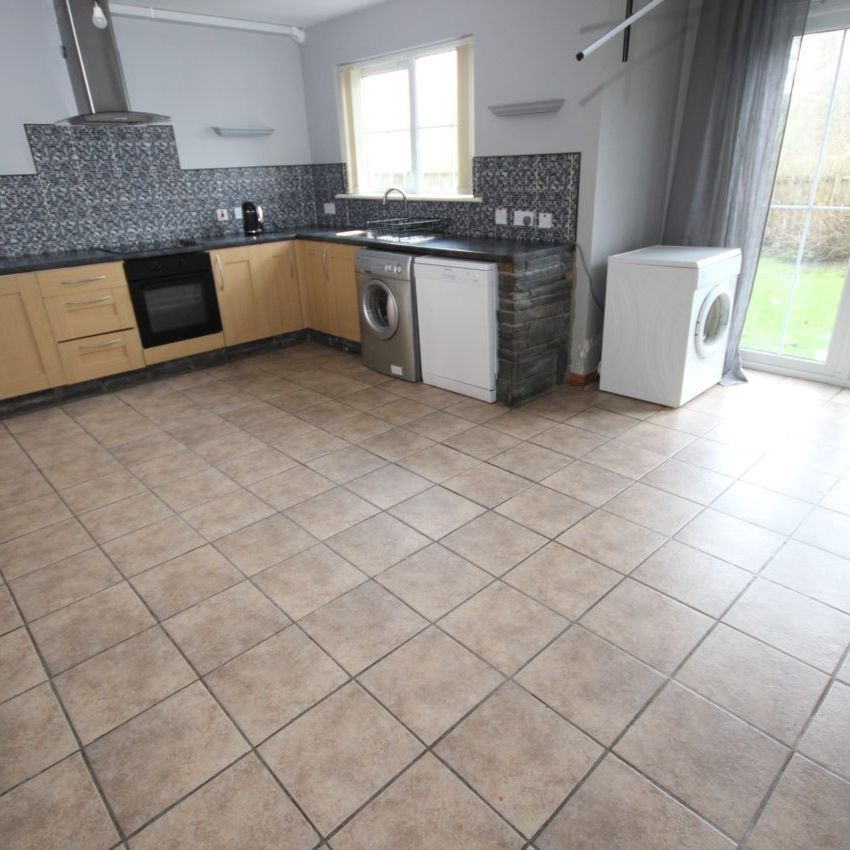 13 Lennon Grove, Ramelton, F92 D215 - Photo 1