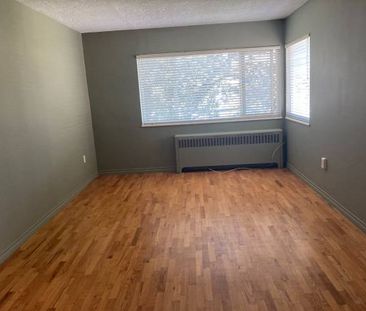 1 Bedroom Apartment on Fort Street $1600.00 - Photo 3