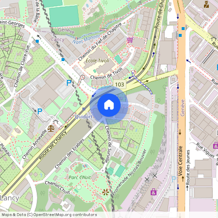 1213, Petit-Lancy, Chemin De Surville, 1