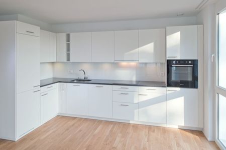 Tax-friendly living in the cozy Allschwil - Photo 5