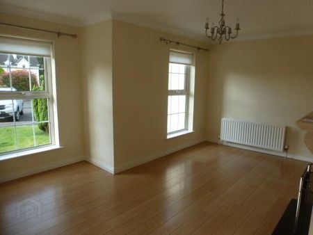 50 Tullymore Dale, Broughshane, Ballymena, BT43 7TD - Photo 4