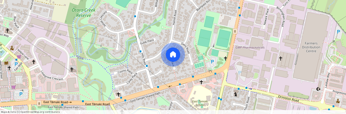 A/8 Doughty Place, Otara, Manukau City