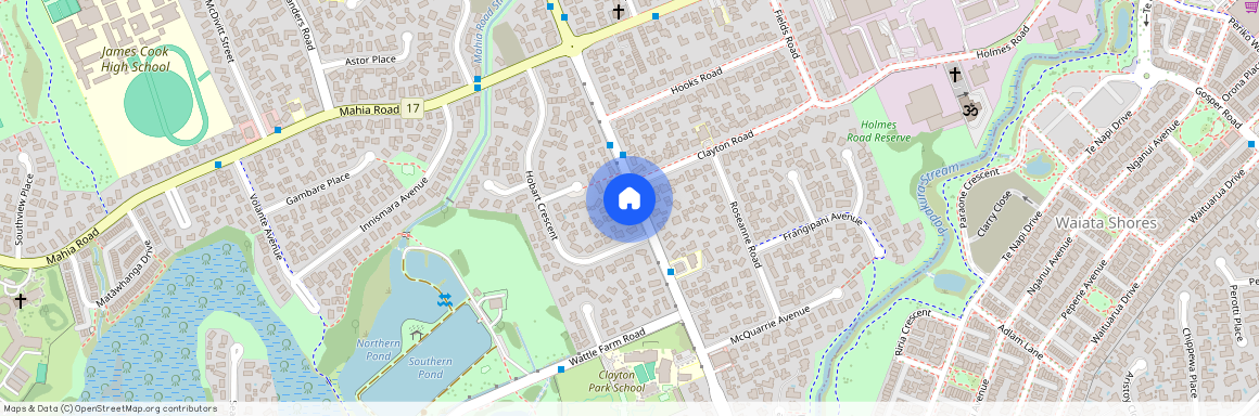 167 Coxhead Road, Wattle Downs, Manukau City