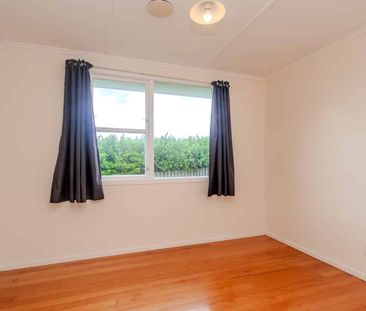 Spacious, Sunny & Exceptionally Convenient - Photo 4