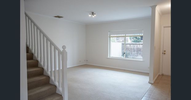 Spacious 3-Bedroom Home in a Convenient Brooklyn Park Location - Photo 1