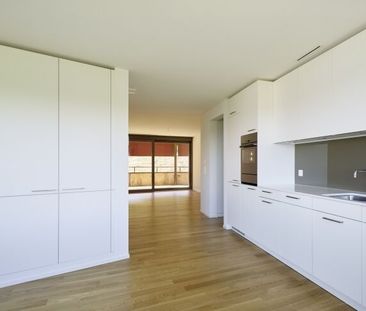 Flow Flats - une vie absolue avec vue sur le lac de Zurich - Foto 6