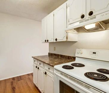 - 1 Bedroom at Sutherland Manor - Photo 2