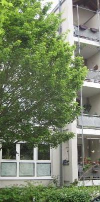 Hoch hinaus zum kleinen Preis: gemütliches Nest unter dem Dach - Foto 1