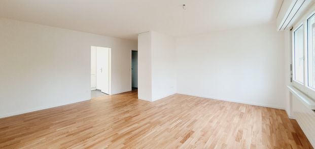 3.5 Zimmerwohnung - ruhige Lage in Rudolfstetten - Photo 1