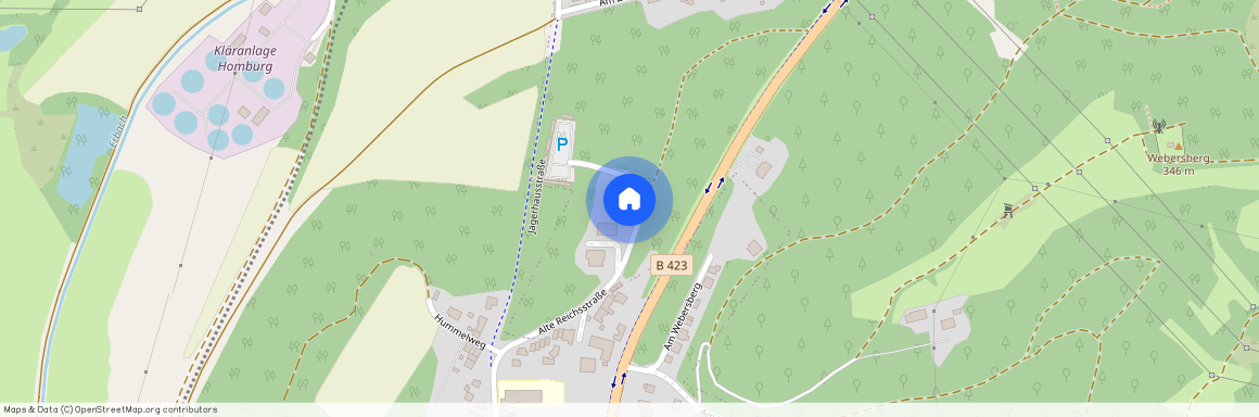 Alte Reichsstr. 3, 66424 Saarland - Homburg